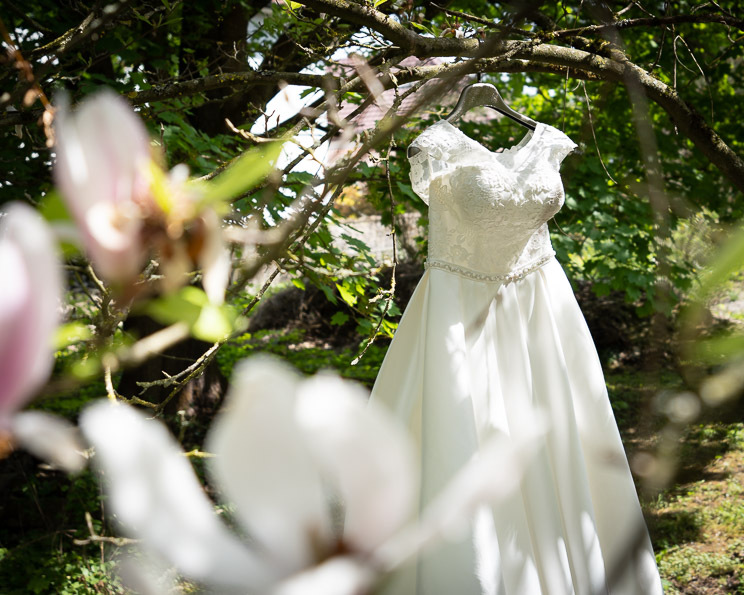 Brautkleid im Magnolienbaum